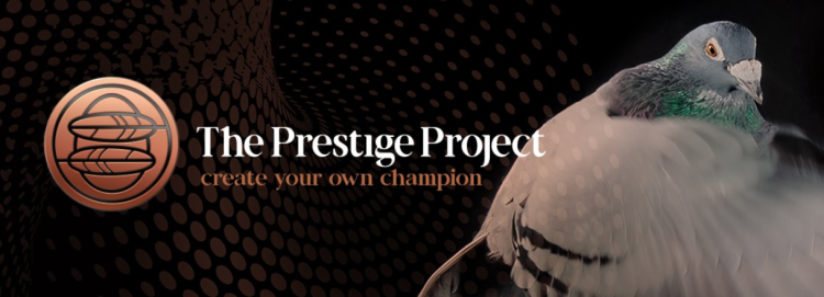 Prestige Project